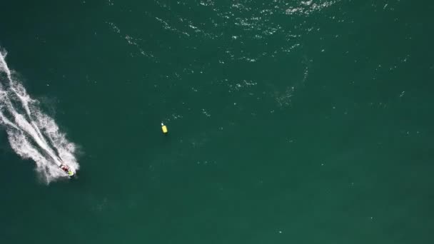 Πάνω Προς Κάτω Εναέρια Άποψη Drone Του Γρήγορου Jetskier Κάνει — Αρχείο Βίντεο