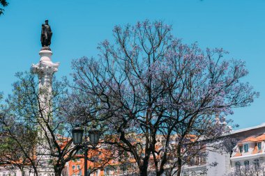 Lizbon, Portekiz - 13 Mayıs 2023: Lizbon 'un Baixa ilçesindeki Rossio Meydanı, Portekiz' in mor jakarandası tamamen çiçek açmış olarak ayrılıyor