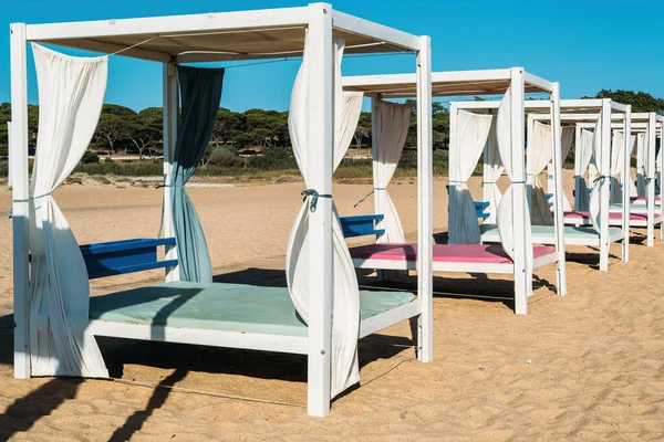 Розкішні Соняшники Пляжі Квартейрі Алгарве Португалія — стокове фото