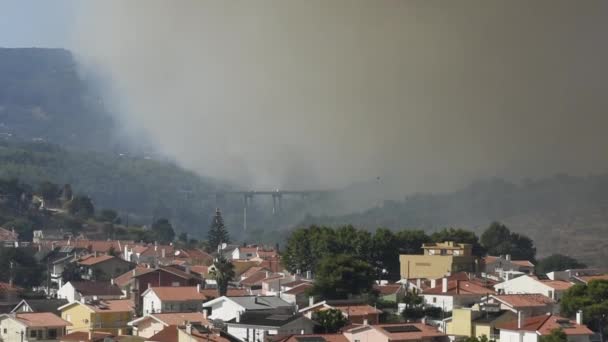 Άποψη Υψηλής Προοπτικής Μιας Δασικής Πυρκαγιάς Στην Περιοχή Alcabideche Της — Αρχείο Βίντεο