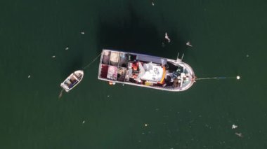 Portekiz, Cascais 'de yakalanan, üzerinde martıların daireler çizdiği eski bir ahşap balıkçı teknesinin içindeki tanımlanamayan iki balıkçının tepeden aşağı bakışı.