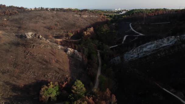 Pov Drone Aereo Vista Del Paesaggio Arido Cascais Portogallo Seguito — Video Stock