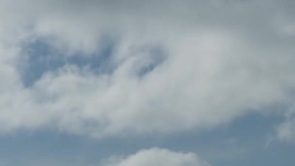 Κινηματογραφικό Συναρπαστικό Timelapse Αφράτα Σύννεφα Ψηλά Στον Ουράνιο Ουρανό Φρέσκο — Αρχείο Βίντεο