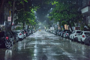 Rio de Janeiro, Brezilya - 21 Ocak 2024: Brezilya 'nın Rio de Janeiro kentinde sel basmış sokaklar, devrilmiş ağaçlar ve elektrik hatları ile şiddetli tropikal fırtına sonrası