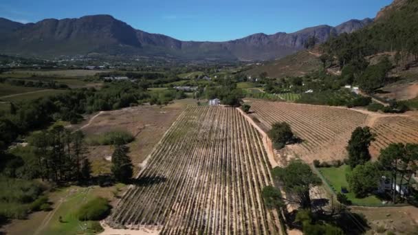 Franschhoek Batı Burnu Güney Afrika Daki Asırlık Üzüm Bağlarının Insansız — Stok video