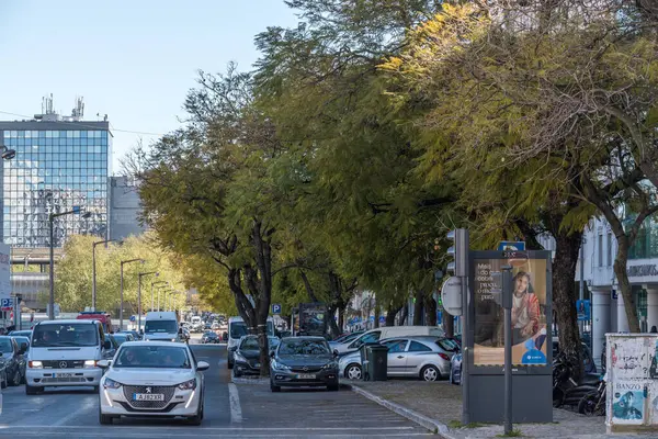 Lizbon, Portekiz - 1 Nisan 2025: 5 Ekim 'de Lizbon, Portekiz' de Jacaranda ağaçları tartışmalı bir şekilde bir otoparka yol açmak için taşınmaya hazırlanıyor