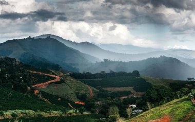Yeşil ile kaplı yuvarlanan tepeler bulutlu bir gökyüzünün altında arazi boyunca uzanıyor. Manzara, Brezilya 'nın Minas Gerais kentinin zengin doku ve renkleri ön plana çıkaran doğal güzelliğini yansıtıyor..