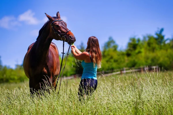 Young Woman Rider Long Brunette Hair Stands Her Horse High — Stock Photo, Image