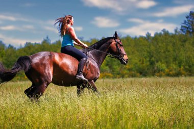 Fotoğrafta, güneşli bir yaz gününde, atının üzerinde bir yaz çayırında genç bir kadın görülüyor. Arka plandaki ormanda ve mavi gökyüzünde sadece bir dizginle eyersiz bindim..