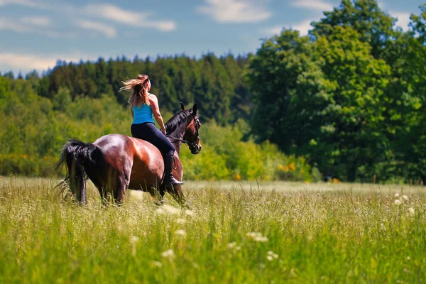 Picture Shows Young Woman Her Horse Summer Meadow Sunny Summer — Stock Photo, Image