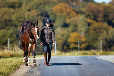 Genç bir kadın güneşli bir sonbahar gününde yolda yürüyor ve atını gezintiye çıkarıyor. Binicilik kıyafetleri ve eyerli bir atla. Arka planda sonbahar ormanı olan manzara formatında fotoğraf.