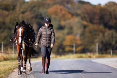 Genç bir kadın güneşli bir sonbahar gününde yolda yürüyor ve atını gezintiye çıkarıyor. Binicilik kıyafetleri ve eyerli bir atla. Arka planda sonbahar ormanı olan manzara formatında fotoğraf.