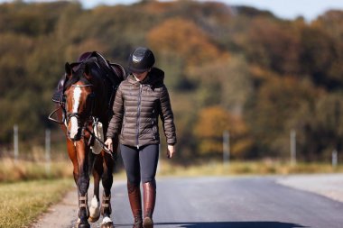 Genç bir kadın güneşli bir sonbahar gününde yolda yürüyor ve atını gezintiye çıkarıyor. Binicilik kıyafetleri ve eyerli bir atla. Arka planda sonbahar ormanı olan manzara formatında fotoğraf.