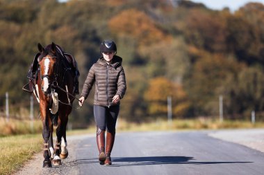 Genç bir kadın güneşli bir sonbahar gününde yolda yürüyor ve atını gezintiye çıkarıyor. Binicilik kıyafetleri ve eyerli bir atla. Arka planda sonbahar ormanı olan manzara formatında fotoğraf.