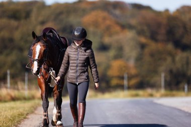 Genç bir kadın güneşli bir sonbahar gününde yolda yürüyor ve atını gezintiye çıkarıyor. Binicilik kıyafetleri ve eyerli bir atla. Arka planda sonbahar ormanı olan manzara formatında fotoğraf.
