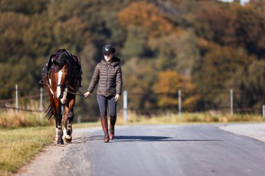 Genç bir kadın güneşli bir sonbahar gününde yolda yürüyor ve atını gezintiye çıkarıyor. Binicilik kıyafetleri ve eyerli bir atla. Arka planda sonbahar ormanı olan manzara formatında fotoğraf.