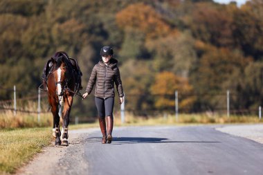 Genç bir kadın güneşli bir sonbahar gününde yolda yürüyor ve atını gezintiye çıkarıyor. Binicilik kıyafetleri ve eyerli bir atla. Arka planda sonbahar ormanı olan manzara formatında fotoğraf.