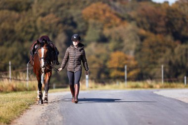Genç bir kadın güneşli bir sonbahar gününde yolda yürüyor ve atını gezintiye çıkarıyor. Binicilik kıyafetleri ve eyerli bir atla. Arka planda sonbahar ormanı olan manzara formatında fotoğraf.