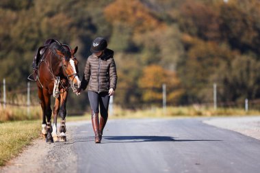 Genç bir kadın güneşli bir sonbahar gününde yolda yürüyor ve atını gezintiye çıkarıyor. Binicilik kıyafetleri ve eyerli bir atla. Arka planda sonbahar ormanı olan manzara formatında fotoğraf.
