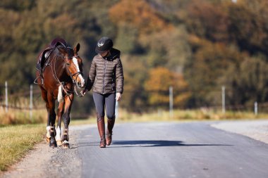 Genç bir kadın güneşli bir sonbahar gününde yolda yürüyor ve atını gezintiye çıkarıyor. Binicilik kıyafetleri ve eyerli bir atla. Arka planda sonbahar ormanı olan manzara formatında fotoğraf.