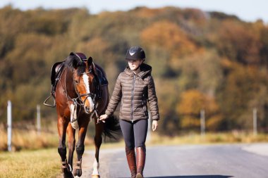 Genç bir kadın güneşli bir sonbahar gününde yolda yürüyor ve atını gezintiye çıkarıyor. Binicilik kıyafetleri ve eyerli bir atla. Arka planda sonbahar ormanı olan manzara formatında fotoğraf.