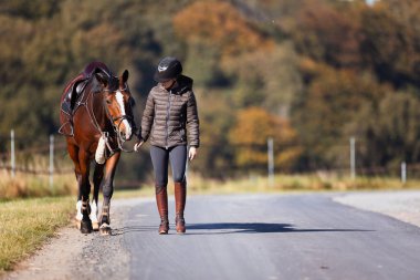 Genç bir kadın güneşli bir sonbahar gününde yolda yürüyor ve atını gezintiye çıkarıyor. Binicilik kıyafetleri ve eyerli bir atla. Arka planda sonbahar ormanı olan manzara formatında fotoğraf.