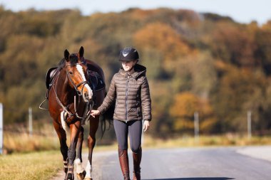 Genç bir kadın güneşli bir sonbahar gününde yolda yürüyor ve atını gezintiye çıkarıyor. Binicilik kıyafetleri ve eyerli bir atla. Arka planda sonbahar ormanı olan manzara formatında fotoğraf.