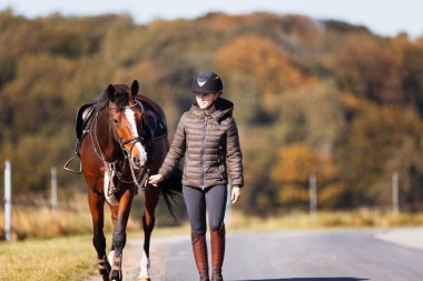 Genç bir kadın güneşli bir sonbahar gününde yolda yürüyor ve atını gezintiye çıkarıyor. Binicilik kıyafetleri ve eyerli bir atla. Arka planda sonbahar ormanı olan manzara formatında fotoğraf.
