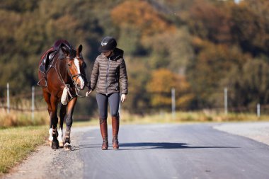 Genç bir kadın güneşli bir sonbahar gününde yolda yürüyor ve atını gezintiye çıkarıyor. Binicilik kıyafetleri ve eyerli bir atla. Arka planda sonbahar ormanı olan manzara formatında fotoğraf.