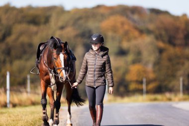 Genç bir kadın güneşli bir sonbahar gününde yolda yürüyor ve atını gezintiye çıkarıyor. Binicilik kıyafetleri ve eyerli bir atla. Arka planda sonbahar ormanı olan manzara formatında fotoğraf.