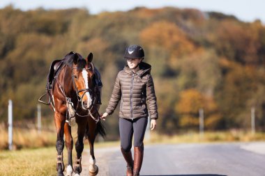 Genç bir kadın güneşli bir sonbahar gününde yolda yürüyor ve atını gezintiye çıkarıyor. Binicilik kıyafetleri ve eyerli bir atla. Arka planda sonbahar ormanı olan manzara formatında fotoğraf.