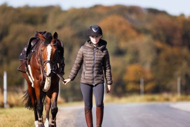 Genç bir kadın güneşli bir sonbahar gününde yolda yürüyor ve atını gezintiye çıkarıyor. Binicilik kıyafetleri ve eyerli bir atla. Arka planda sonbahar ormanı olan manzara formatında fotoğraf.