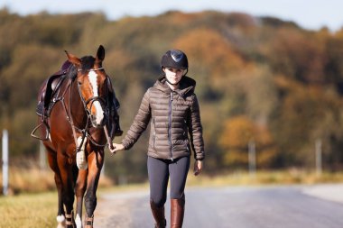 Genç bir kadın güneşli bir sonbahar gününde yolda yürüyor ve atını gezintiye çıkarıyor. Binicilik kıyafetleri ve eyerli bir atla. Arka planda sonbahar ormanı olan manzara formatında fotoğraf.