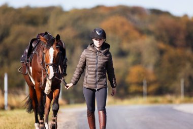 Genç bir kadın güneşli bir sonbahar gününde yolda yürüyor ve atını gezintiye çıkarıyor. Binicilik kıyafetleri ve eyerli bir atla. Arka planda sonbahar ormanı olan manzara formatında fotoğraf.
