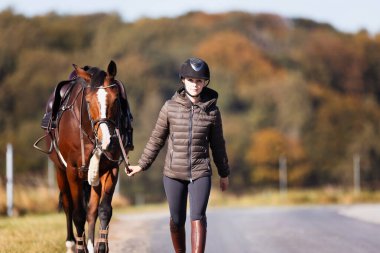 Genç bir kadın güneşli bir sonbahar gününde yolda yürüyor ve atını gezintiye çıkarıyor. Binicilik kıyafetleri ve eyerli bir atla. Arka planda sonbahar ormanı olan manzara formatında fotoğraf.