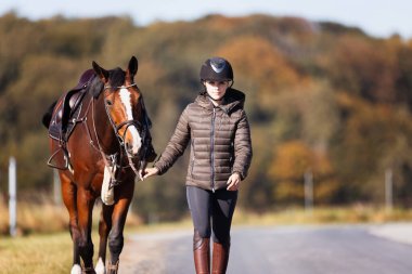 Genç bir kadın güneşli bir sonbahar gününde yolda yürüyor ve atını gezintiye çıkarıyor. Binicilik kıyafetleri ve eyerli bir atla. Arka planda sonbahar ormanı olan manzara formatında fotoğraf.