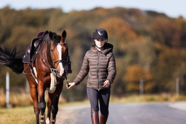 Genç bir kadın güneşli bir sonbahar gününde yolda yürüyor ve atını gezintiye çıkarıyor. Binicilik kıyafetleri ve eyerli bir atla. Arka planda sonbahar ormanı olan manzara formatında fotoğraf.
