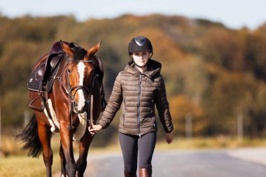 Genç bir kadın güneşli bir sonbahar gününde yolda yürüyor ve atını gezintiye çıkarıyor. Binicilik kıyafetleri ve eyerli bir atla. Arka planda sonbahar ormanı olan manzara formatında fotoğraf.