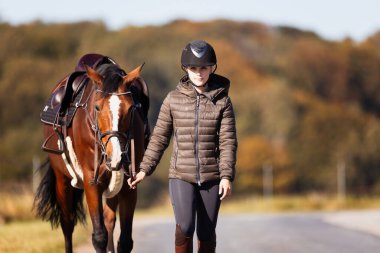 Genç bir kadın güneşli bir sonbahar gününde yolda yürüyor ve atını gezintiye çıkarıyor. Binicilik kıyafetleri ve eyerli bir atla. Arka planda sonbahar ormanı olan manzara formatında fotoğraf.