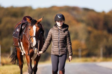 Genç bir kadın güneşli bir sonbahar gününde yolda yürüyor ve atını gezintiye çıkarıyor. Binicilik kıyafetleri ve eyerli bir atla. Arka planda sonbahar ormanı olan manzara formatında fotoğraf.