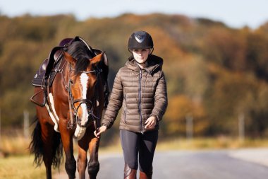 Genç bir kadın güneşli bir sonbahar gününde yolda yürüyor ve atını gezintiye çıkarıyor. Binicilik kıyafetleri ve eyerli bir atla. Arka planda sonbahar ormanı olan manzara formatında fotoğraf.