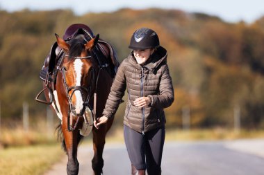 Genç bir kadın güneşli bir sonbahar gününde yolda yürüyor ve atını gezintiye çıkarıyor. Binicilik kıyafetleri ve eyerli bir atla. Arka planda sonbahar ormanı olan manzara formatında fotoğraf.
