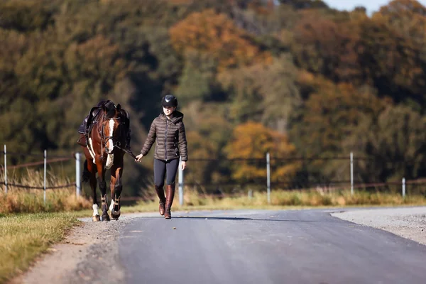 Young woman walks along a path on a sunny autumn day and leads her horse for a ride. Dressed in riding clothes and horse ready saddled. Photo in landscape format with autumn forest in the background.