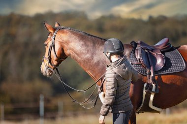 Sonbahar doğasında, gün ışığında yanında binicisi olan bir çayırdaki at..