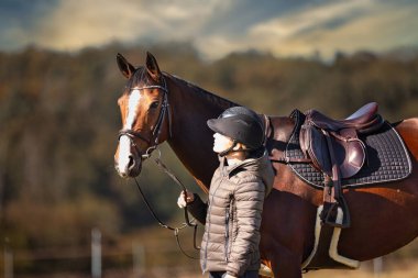 Sonbahar doğasında, gün ışığında yanında binicisi olan bir çayırdaki at..