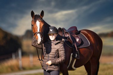 Sonbahar doğasında, gün ışığında yanında binicisi olan bir çayırdaki at..