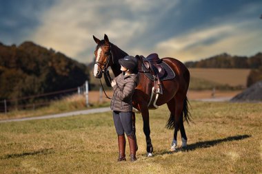 Sonbahar doğasında, gün ışığında yanında binicisi olan bir çayırdaki at..