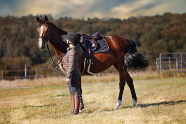 Sonbahar doğasında, gün ışığında yanında binicisi olan bir çayırdaki at..