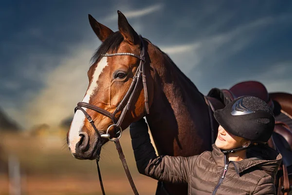 Sonbahar doğasında, gün ışığında yanında binicisi olan bir çayırdaki at..