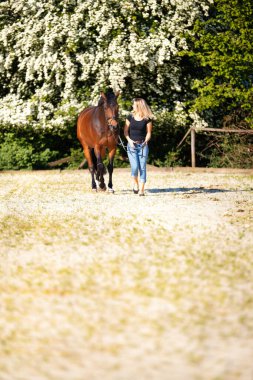 Genç bir kadın atıyla güneşli bir arenada duruyor. Arka planda, çiçek açan ağaçlar ve yeşil doğa, bulanık, kahverengi at ve kot pantolon giymiş kadının önünde izole edilmiş model..